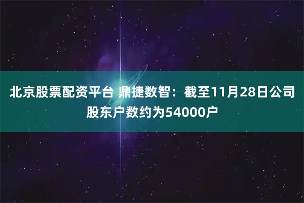 北京股票配资平台 鼎捷数智：截至11月28日公司股东户数约为54000户